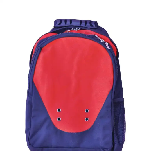 Picture of Winning Spirit, Climber Backpack